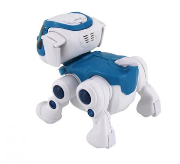 RoboHome - Teksta robot puppy