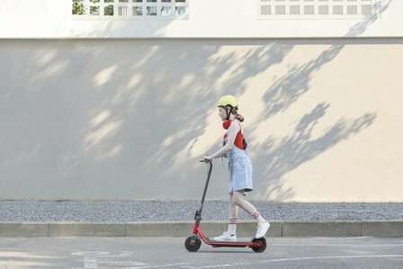 www.robohome.nl - Segway Ninebot eKickScooter ZING C15