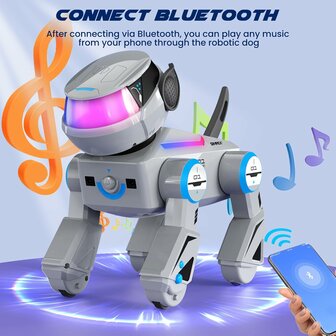 Simrex AN-02 robothond | RoboHome