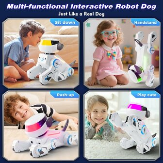 Vatos robothond | RoboHome