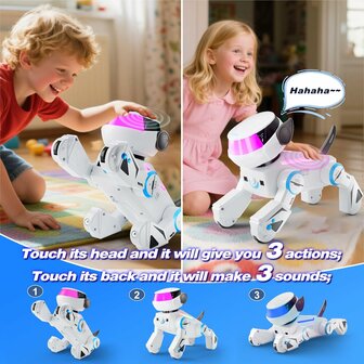 Vatos robothond | RoboHome