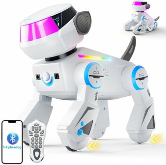 Vatos robothond | RoboHome