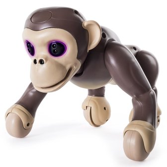 Zoomer Chimp