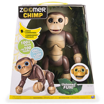 Zoomer Chimp