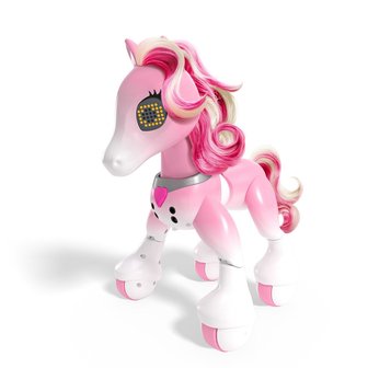 RoboHome Zoomer Pony