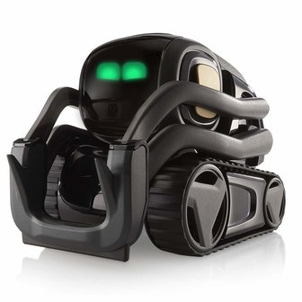 RoboHome Anki Vector