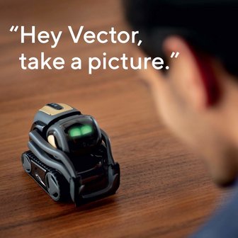 RoboHome Anki Vector