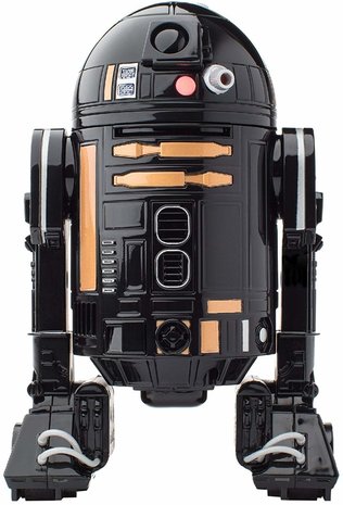 RoboHome Sphero R2-Q5