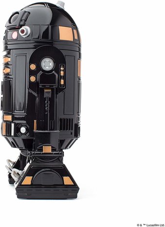 RoboHome Sphero R2-Q5