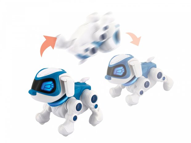 RoboHome - Teksta robot puppy