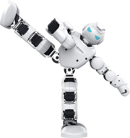 RoboHome - UBTECH Alpha 1E humanoide robot