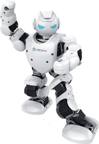 RoboHome - UBTECH Alpha 1E humanoide robot
