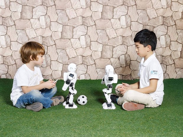 RoboHome - UBTECH Alpha 1E humanoide robot