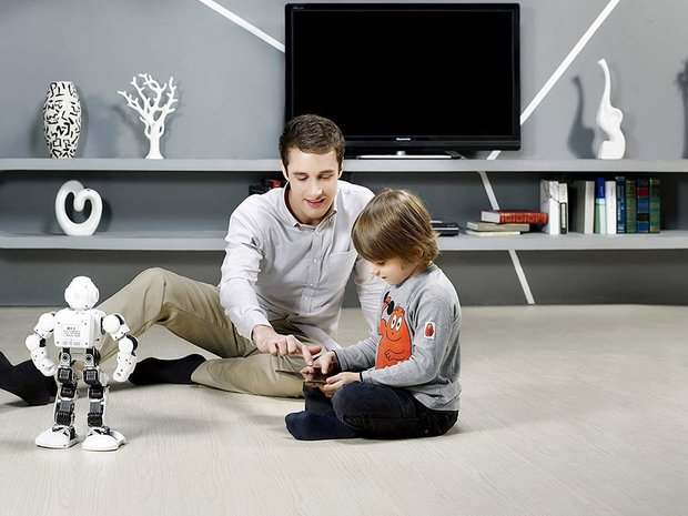 RoboHome - UBTECH Alpha 1E humanoide robot