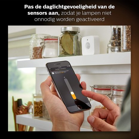 RoboHome - Philips Hue bewegingssensor