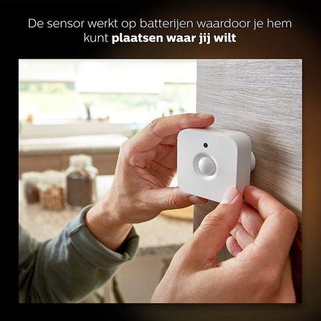 RoboHome - Philips Hue bewegingssensor