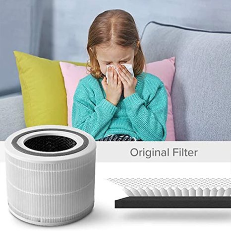 RoboHome - Levoit Core 300 en Core 300S filter