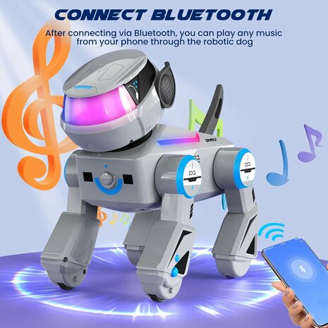 Simrex AN-02 robothond | RoboHome