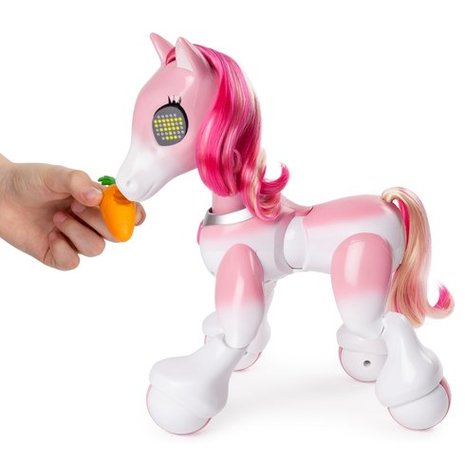 RoboHome Zoomer Pony