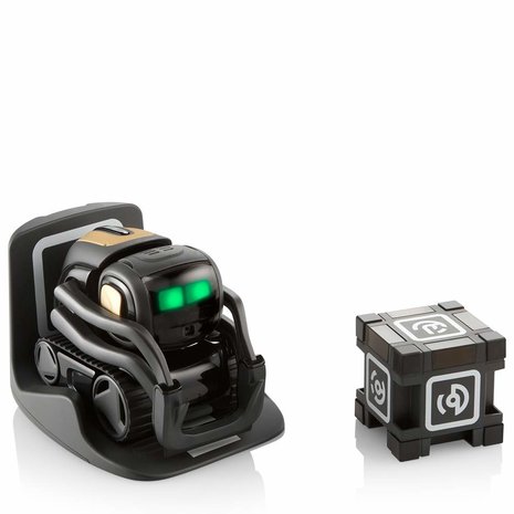 RoboHome Anki Vector