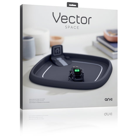 RoboHome - Anki Vector Space