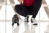 RoboHome Sphero R2-Q5