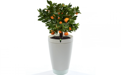 Parrot flower pot - white